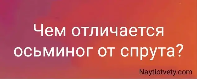 Чем отличается осьминог от спрута?