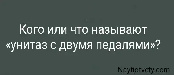 Кого или что называют «унитаз с двумя педалями»?
