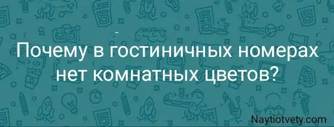 Почему в гостиничных номерах нет комнатных цветов?