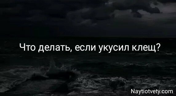 Что делать, если укусил клещ?
