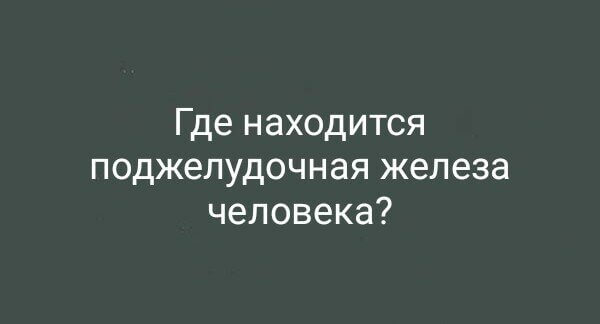 Где находится поджелудочная железа человека?