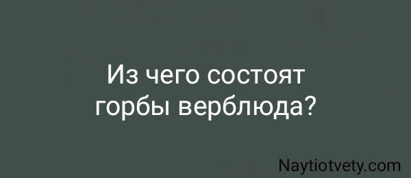 Из чего состоят горбы верблюда?