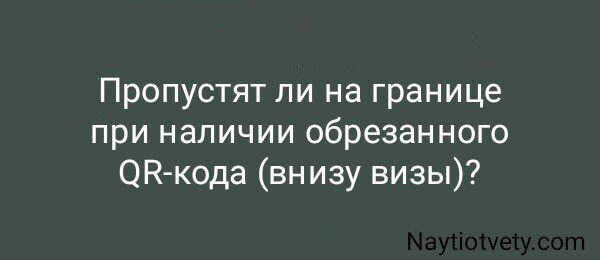 Пропустят ли на границе при наличии обрезанного QR-кода (внизу визы)?